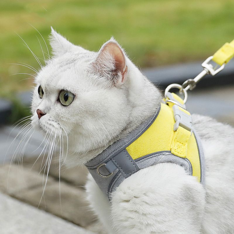 Yellow and Gray